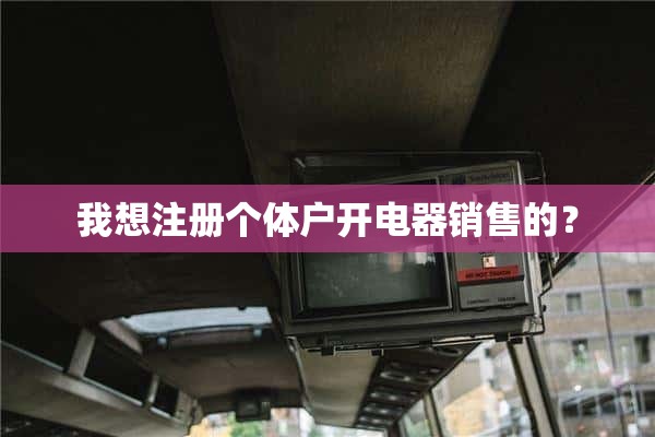 我想注册做个体户卖电器？