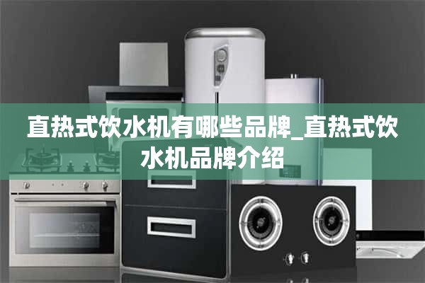 直热式饮水机有哪些品牌_直热式饮水机品牌介绍