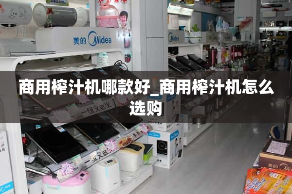 商用榨汁机哪个好_如何选择商用榨汁机