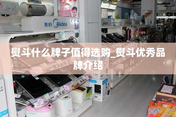 什么牌子的熨斗值得买_优秀熨斗品牌介绍