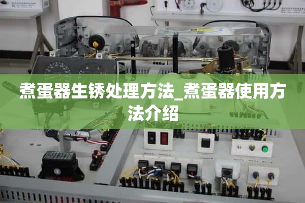 煮蛋器生锈的处理_煮蛋器的使用介绍