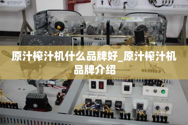 什么牌子的果汁榨汁机好_果汁榨汁机品牌介绍