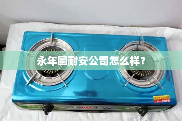 永年古耐安公司怎么样？