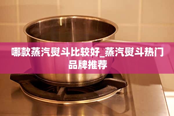 蒸汽熨斗流行品牌推荐哪个蒸汽熨斗比较好