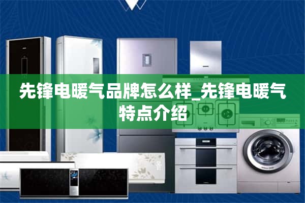 先锋电暖品牌怎么样_先锋电暖特色介绍