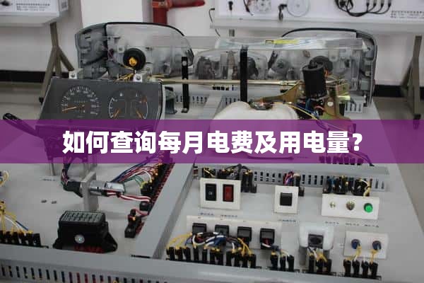 如何查看每月的电费和用电量？