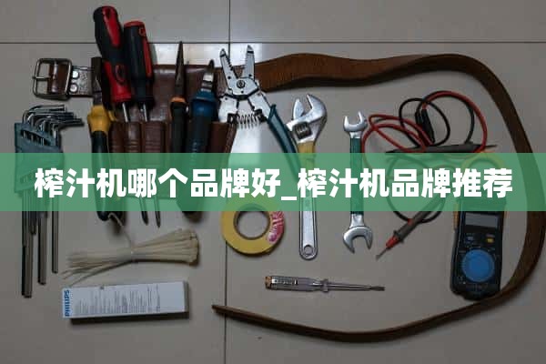 榨汁机哪个牌子好_榨汁机品牌推荐