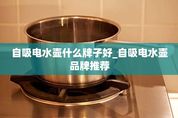 自吸式电热水壶什么牌子好_自吸式电热水壶品牌推荐