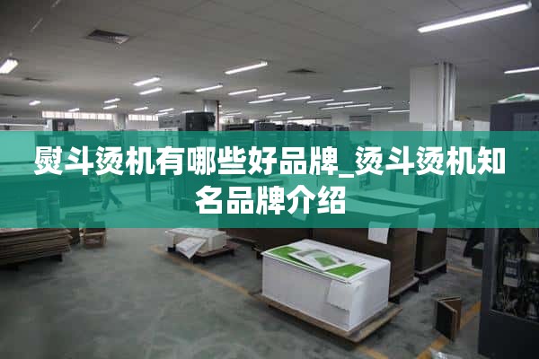 烫衣机有哪些好品牌_烫衣机知名品牌介绍