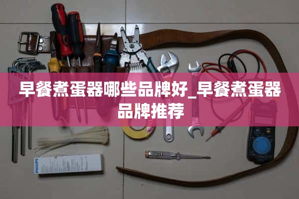 早餐煮蛋器哪些品牌好_早餐煮蛋器推荐品牌