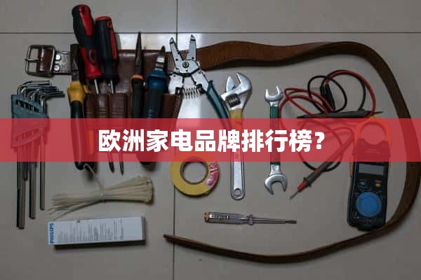 欧洲家电品牌排名？