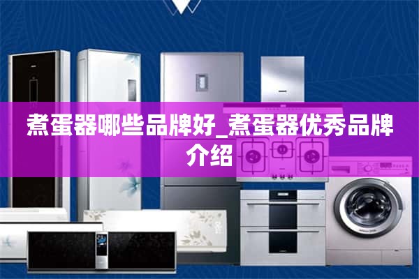 哪些品牌的煮蛋器好_优秀煮蛋器品牌介绍