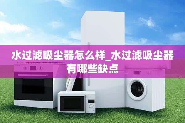 滤水器吸尘器怎么样？滤水器真空吸尘器有什么缺点？