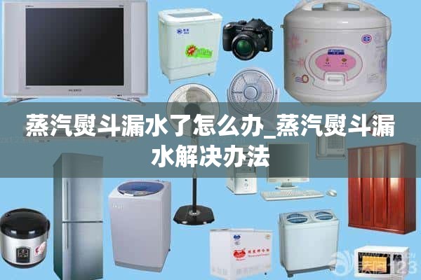 蒸汽熨斗漏了怎么办？_蒸汽熨斗泄漏的解决方案